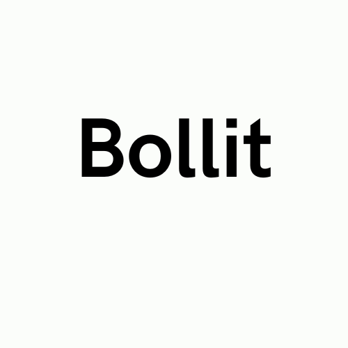 bollit stoomreiniger